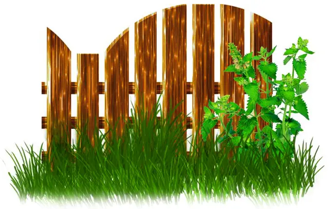 Заборы и ограждения
