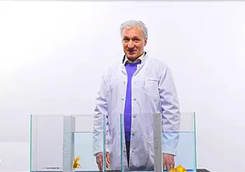 Сравнение водопоглощения XPS ТЕХНОНИКОЛЬ и пенопласта