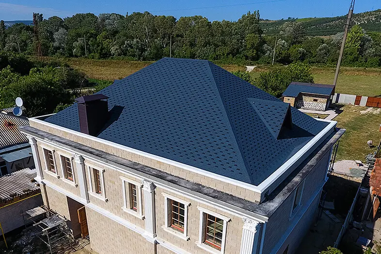 Кельн_цвет Чернослив2.jpg