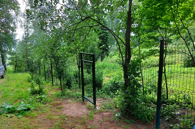 Карлык_113 км.jpg