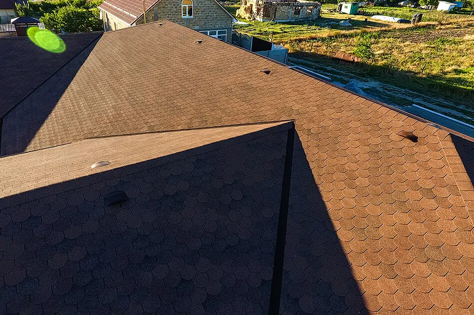 Льеж_цвет Ирис.jpg