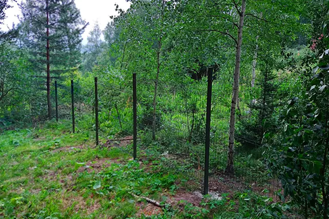 Карлык2_113 км.jpg