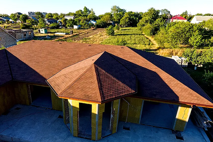 Льеж_цвет Ирис1.jpg